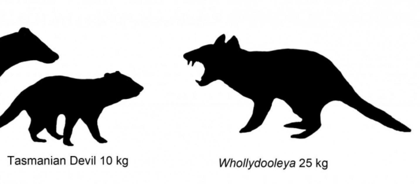 Flesheating kangaroo discovered at fossil site in Western Queensland