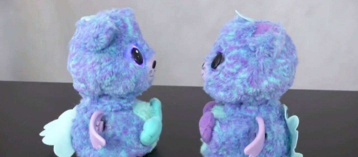 twin hatchimals