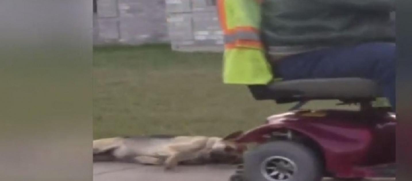 Man arrested in Texas after allegations of dragging his dog from a vehicle