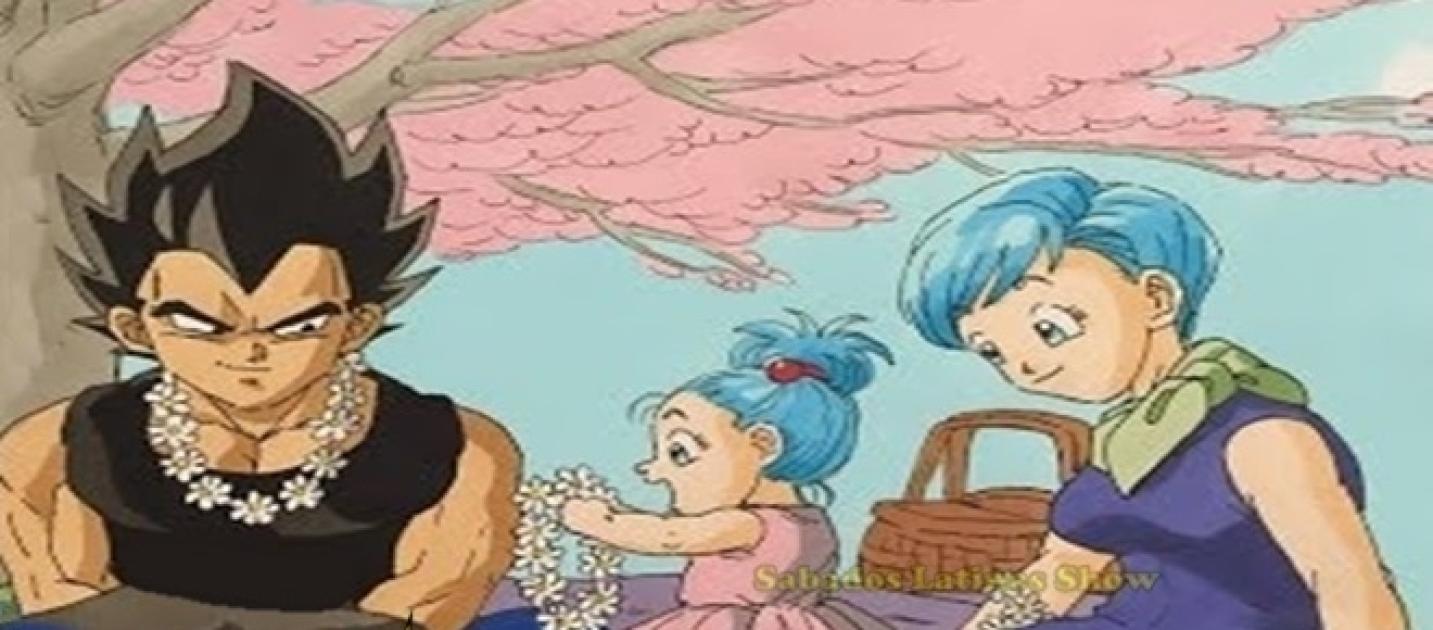 Torneo Universal El Nacimiento De Bra Bura La Hija De Bulma Y Vegeta