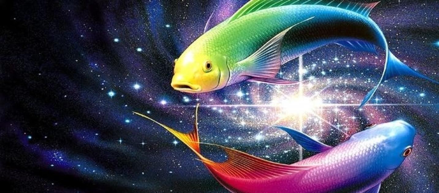 Дети, рожденные в 2018 году, отличаются непостоянством Дети, рожденные в 2018 году, отличаются непостоянством