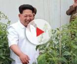Corea del Nord :