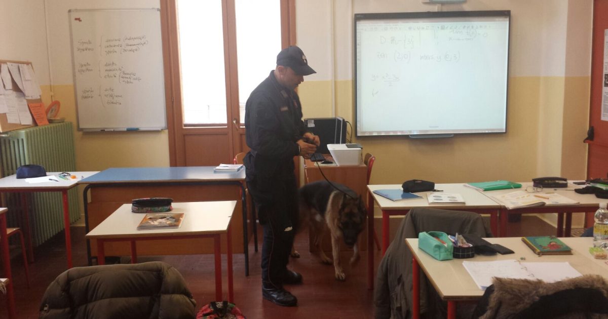 Venezia Cani Anti Droga A Scuola Fiutano L Insegnante E Lei Faccio