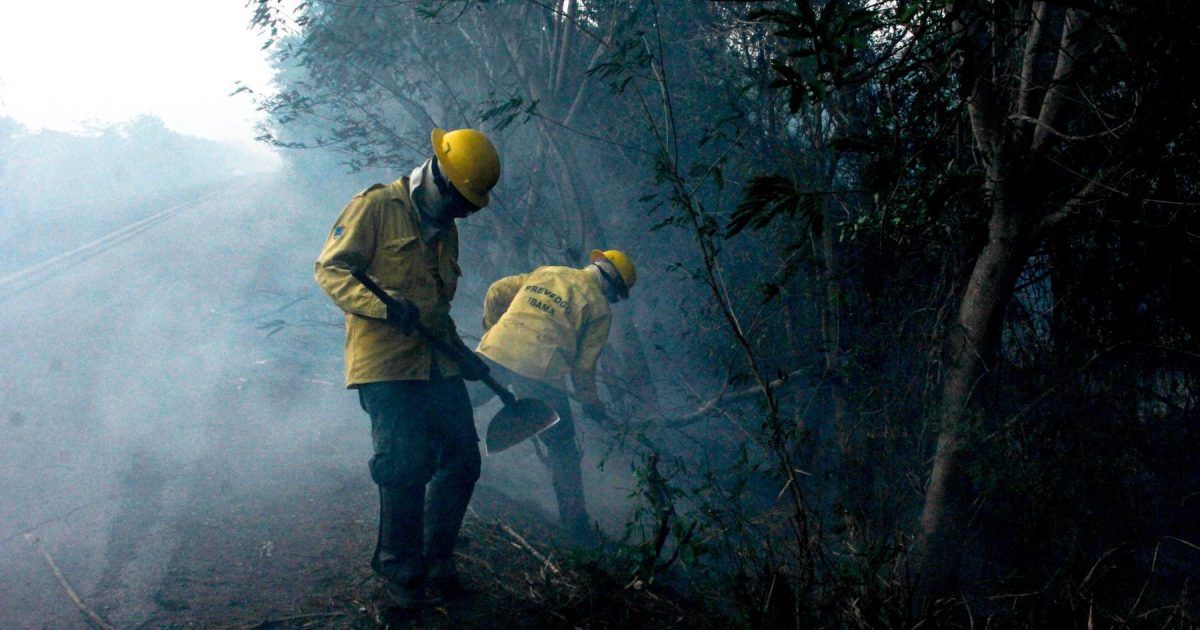 Ibama tem menor número de autuações ambientais em duas décadas diz site