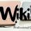 Wikiboyz Content Writers