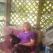 Cheri Wood