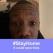 Christopher Horsford