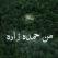 Bourhan Bee