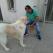 Carmine Restaino