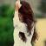 Madiha Syed