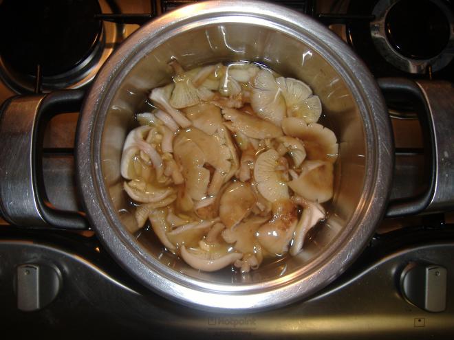 Cuocere i funghi con il coperchio aperto