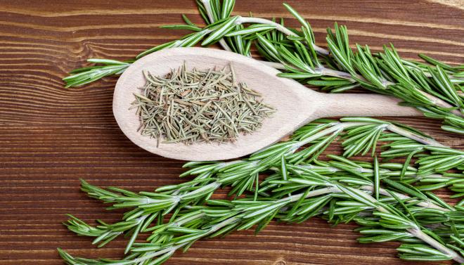 Alecrim (Erva aromática)