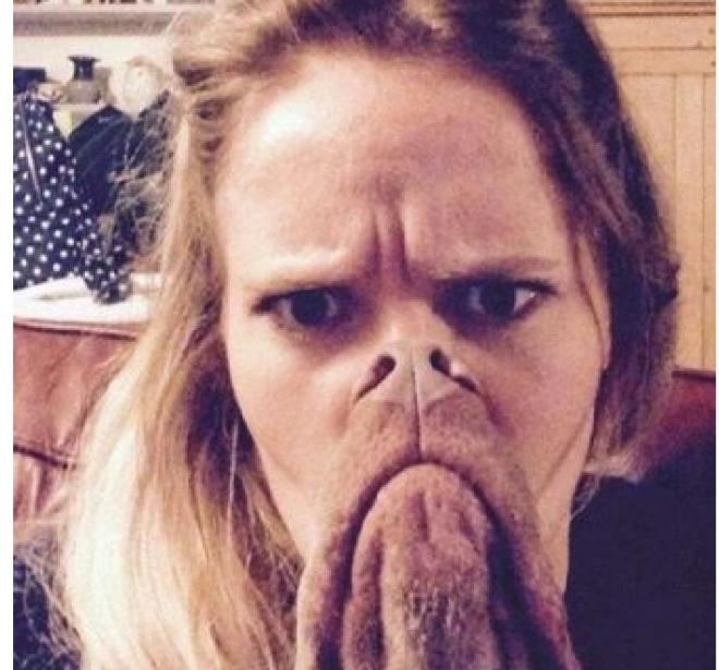 Cara de um, focinho de outro