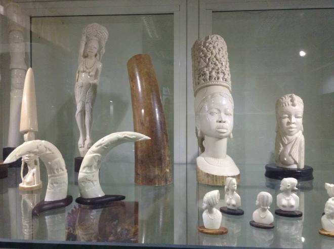 Museo della Biodiversit&agrave; &ndash; CITES