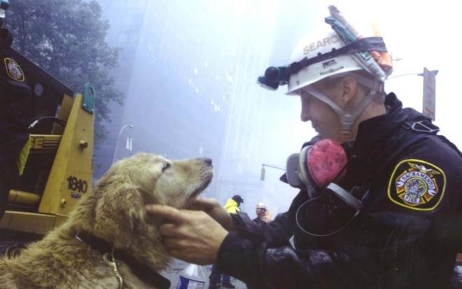 Trakr, l'eroe dell'11 settembre