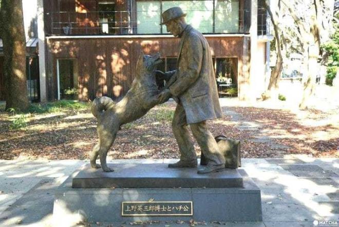 Hachiko, il cane della stazione