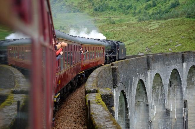 Animali Fantastici E Dove Trovarli Curiosita Sul Prequel Di Harry Potter 3