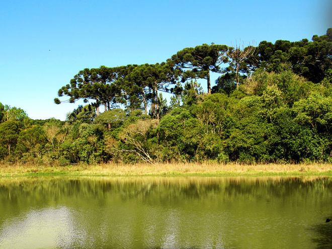 Parque Florestal Estadual Espig&atilde;o Alto 