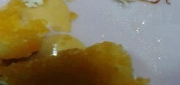 Parassita nei bastoncini findus Parassita nei bastoncini findus