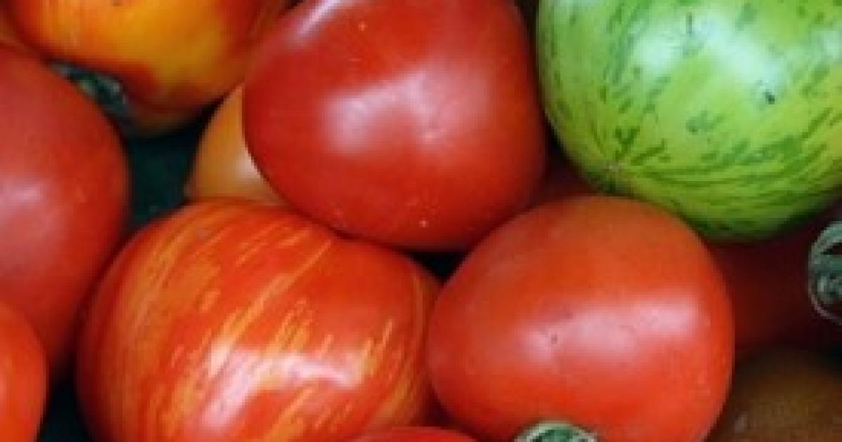 Cucinare con Gli Avanzi: ricette anti-spreco per riciclare ...