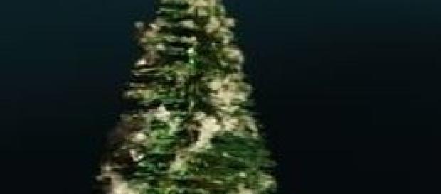 Dove trascorrere vacanze di Natale low cost. Dove trascorrere vacanze di Natale low cost.