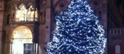 Albero di Natale a Ferrara, Cattedrale