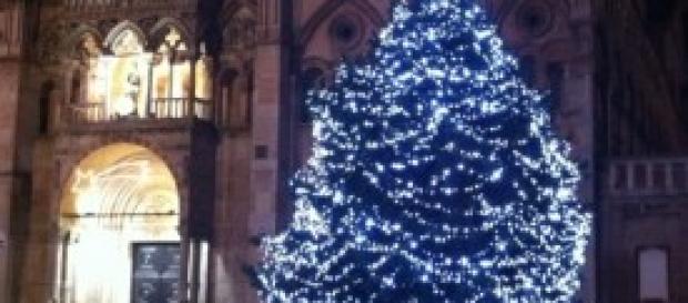 Albero di Natale a Ferrara, Cattedrale Albero di Natale a Ferrara, Cattedrale