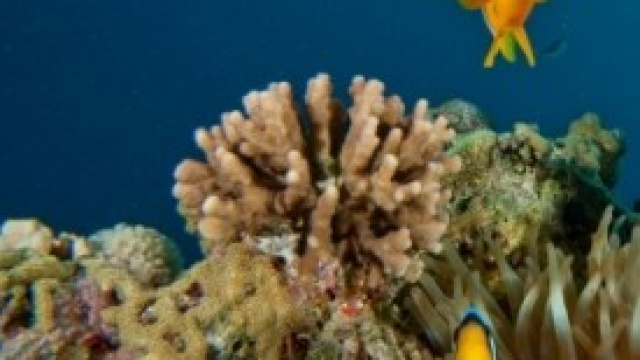 Dal mare nostrum ai mari del mondo