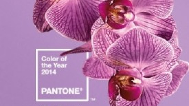 Radiant Orchid &egrave; il colore Pantone del 2014