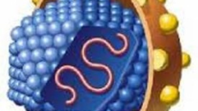 Immagine del virus dell'epatite C 