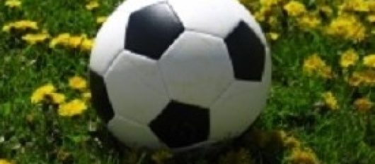 news-image