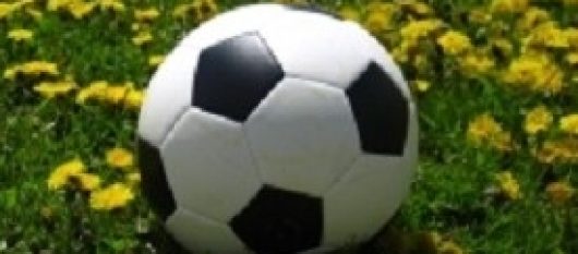 news-image