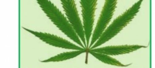 Legalizzazione Marijuana: Vantaggi