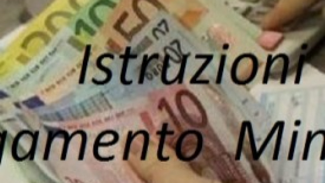 Come pagare la Mini Imu, istruzioni