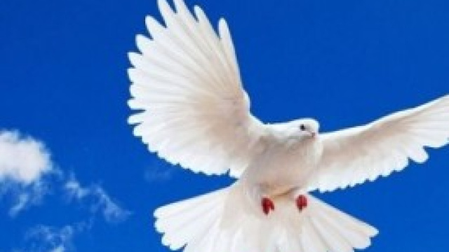 I tradizionali festeggiamenti di Pasqua