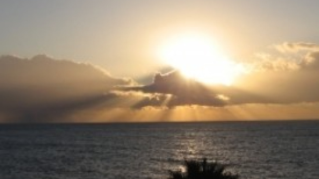 Oroscopo 2014: Cancro, Vergine, Sagittario