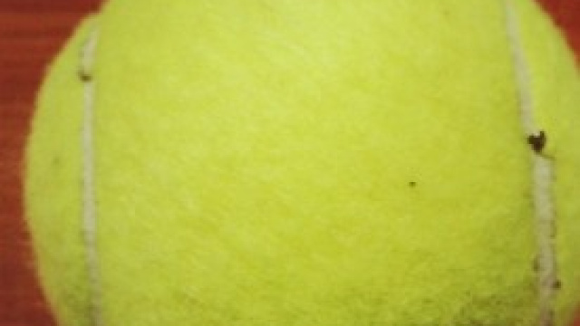 Australian Open 2014 in tv: risultati e programma 