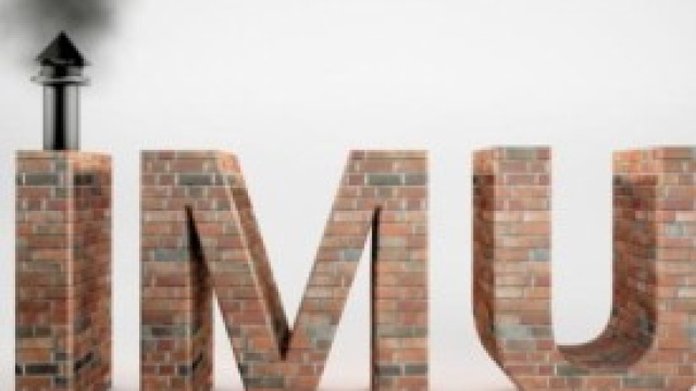 Mini Imu: scadenza, codici, e compilazione modulo