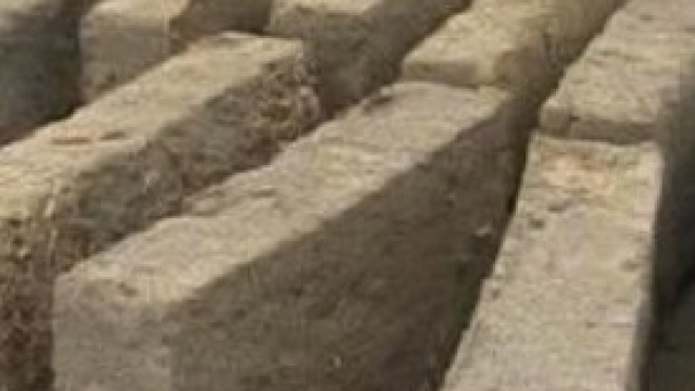 Canapa, gli usi legali sono utilissimi