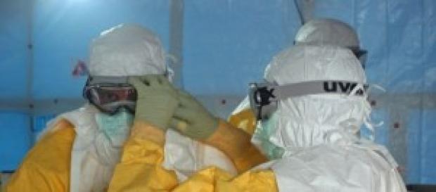 Che cos'è l'ebola e come si difende l'Italia? Che cos'è l'ebola e come si difende l'Italia?