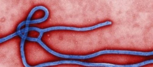 Virus Ebola 2014 in Italia: è caccia ai sintomi