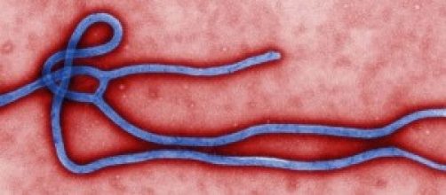 Virus Ebola 2014 News: a Roma falso allarme