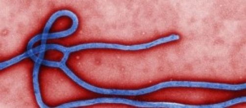 News Ebola in Italia: possibile contagio aereo