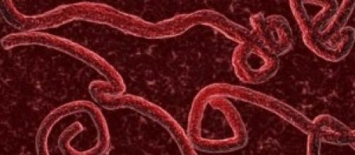 Virus Ebola 2014: epidemia in tempo reale