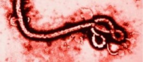 Ebola, aggiornamenti del 20 ottobre 2014