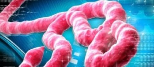 virus ebola come da laboratotio