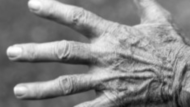 Riforma Pensioni 2014 e anticipata: proteste web