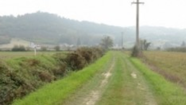 La strada per arrivare al luogo del ritrovamento.