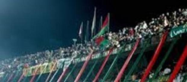Ternana-Trapani, serie B, 10^giornata Ternana-Trapani, serie B, 10^giornata