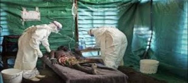 Virus cada vez más letales invaden a humanos Virus cada vez más letales invaden a humanos